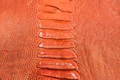UROK手工鞋 鴕鳥皮珍稀皮革知多少？